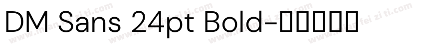 DM Sans 24pt Bold字体转换